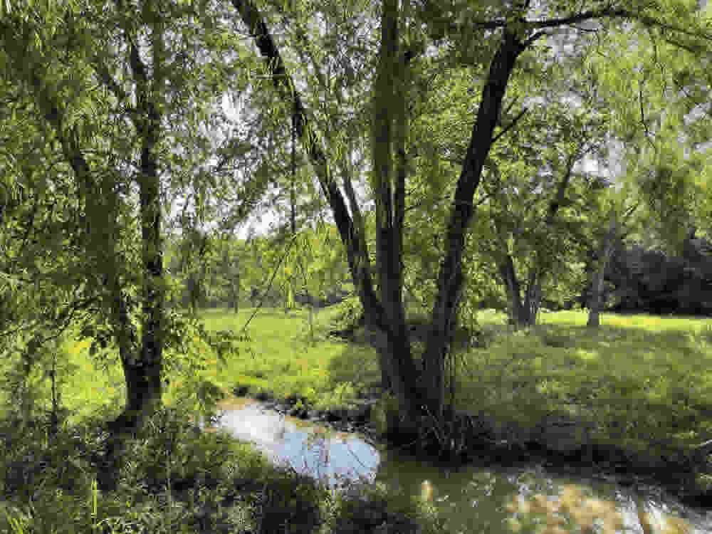 14 Acres For Sale Old Hickory Grove Rd., Franklin, TX. 77856, Robertson